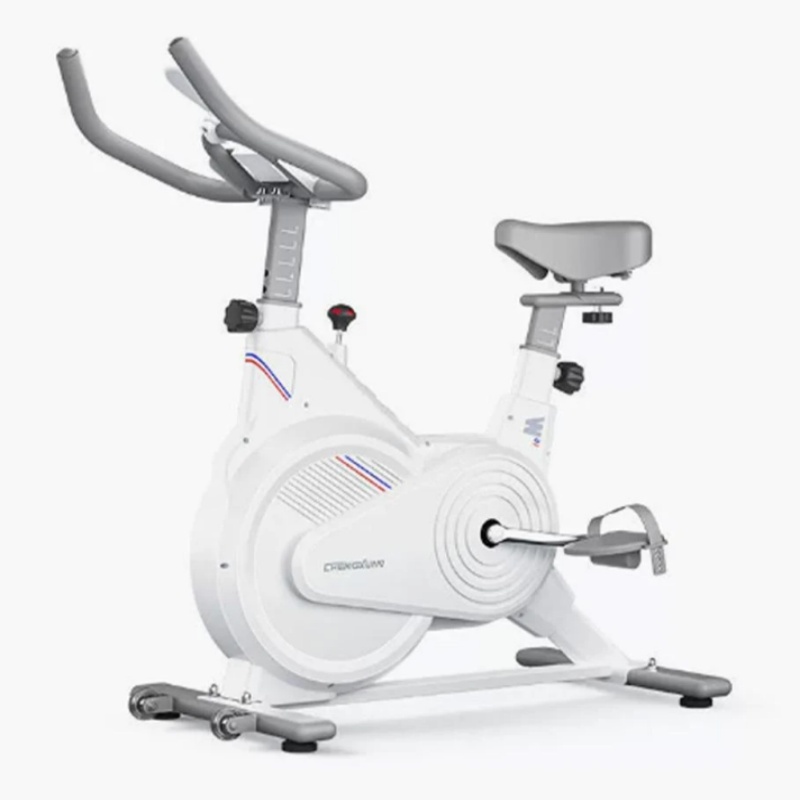 室内固定式スピンバイク、静音磁気抵抗エクササイズバイク（LC - Exercise Bike Magnetic Resistance のレビューと価格